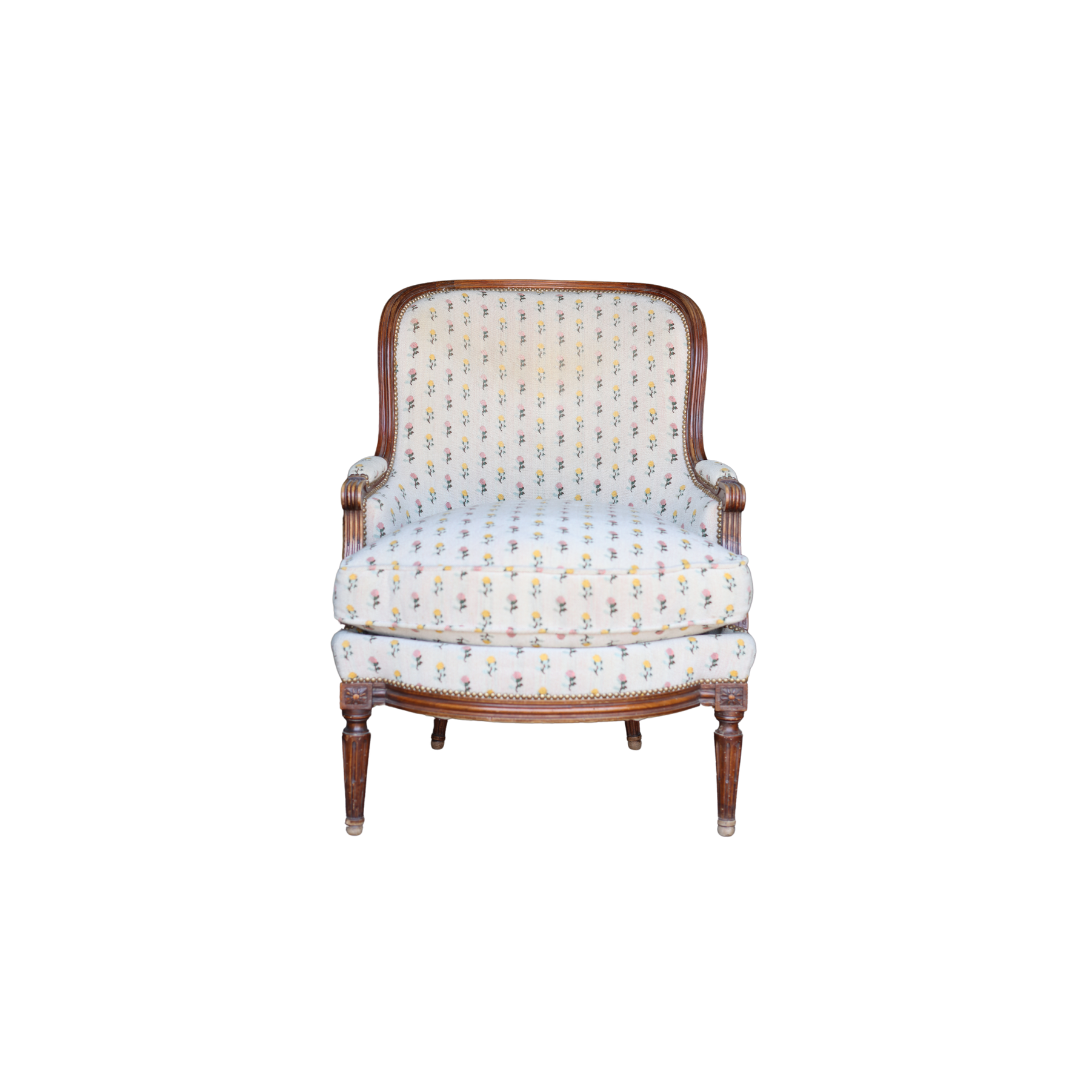 Late 19th Century Louis XVI Bergere Chair