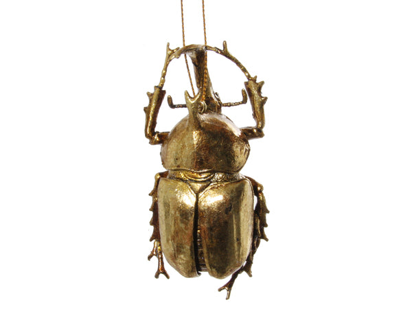 Beetle Ornament (Medium)