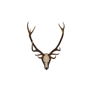 European Elk Mount
