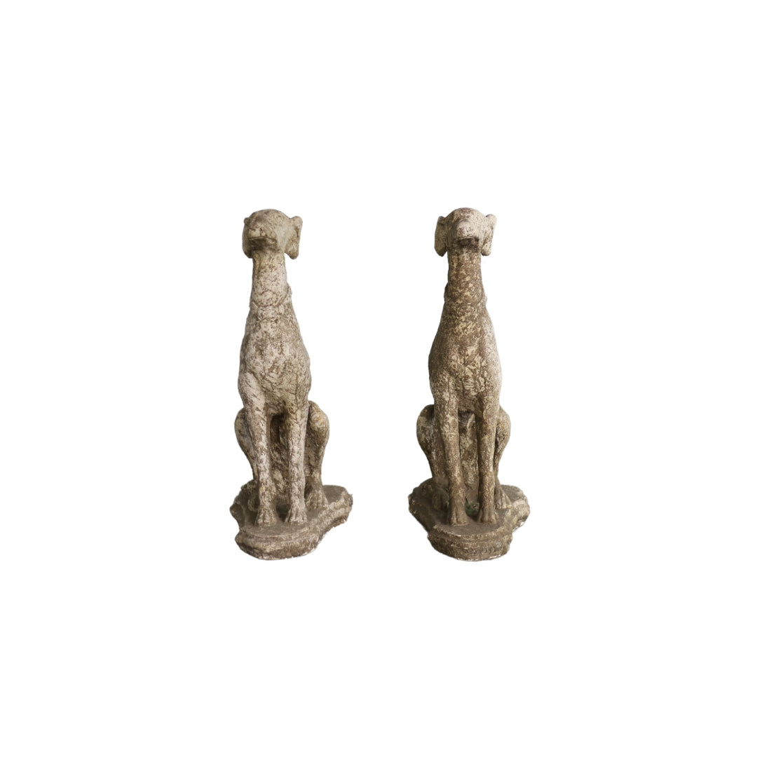 20th Century Cement Dogs