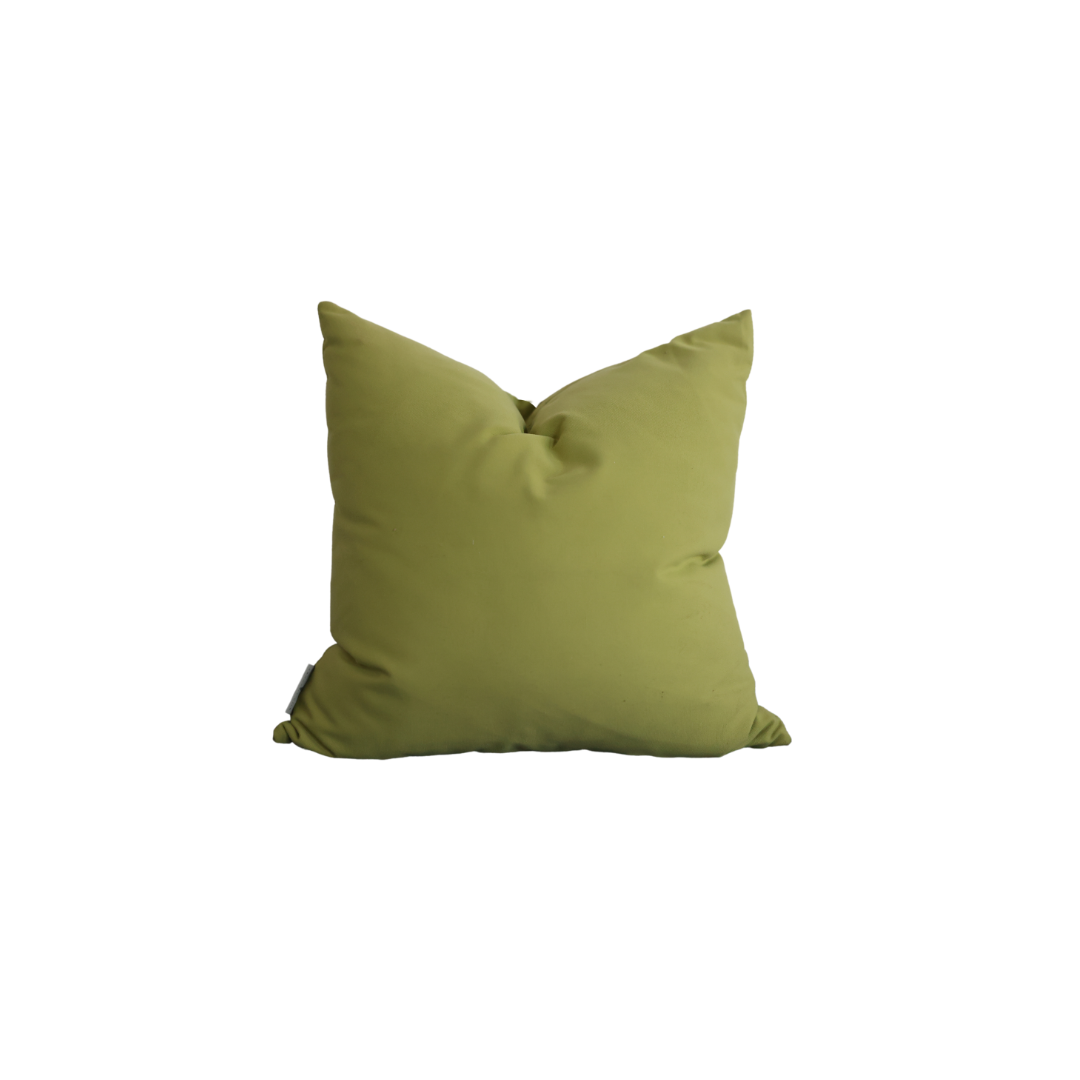Toss Pillow in Capri Aloe