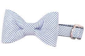 Seersucker Bow Tie Collar  Large
