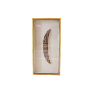 1700s Custom Framed Carved Wood Art
