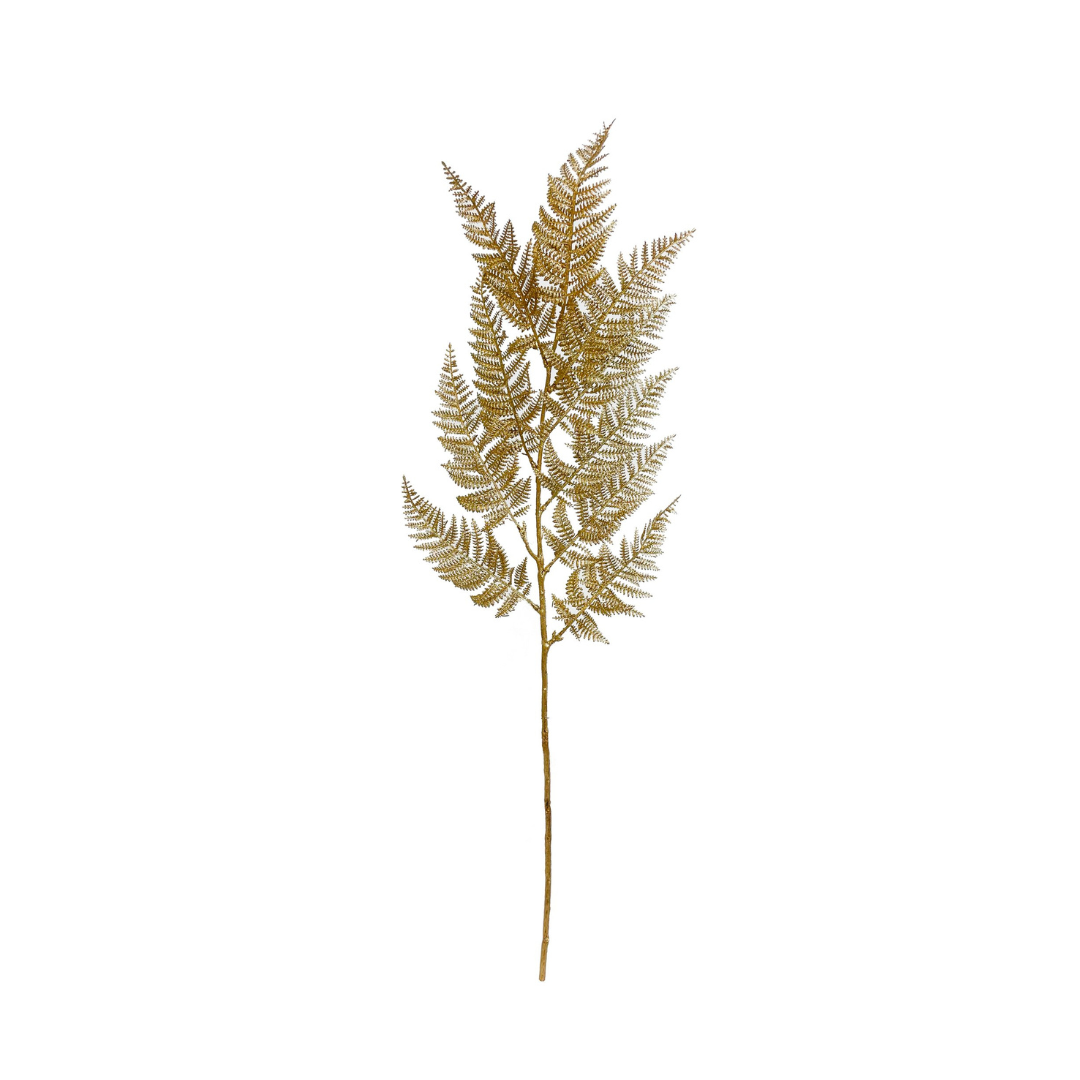 Gold Fern