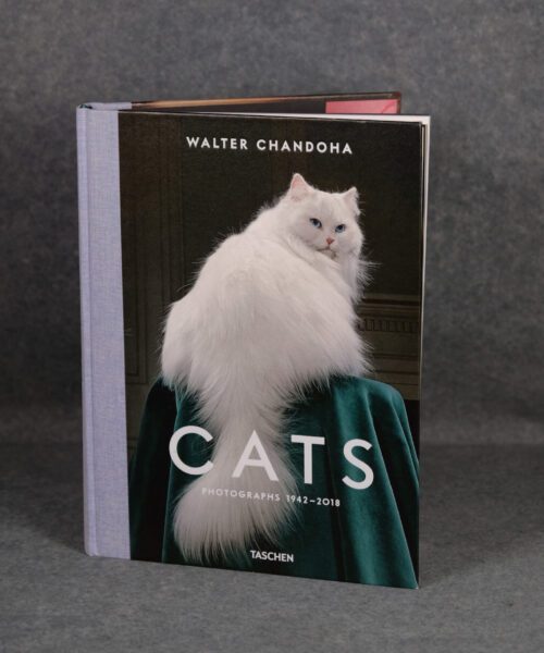 Cats Photography by Walter Chandoha