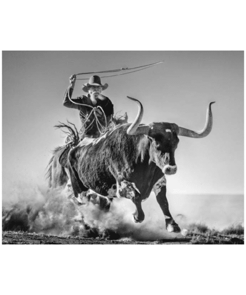 Ain't My First Rodeo by David Yarrow